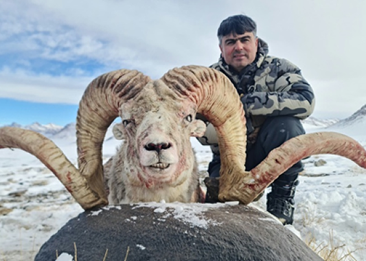 Off-road vehicles on mountain terrain