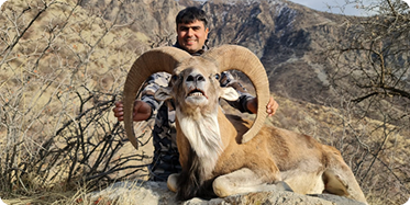 Hunter with urial hunts trophy
